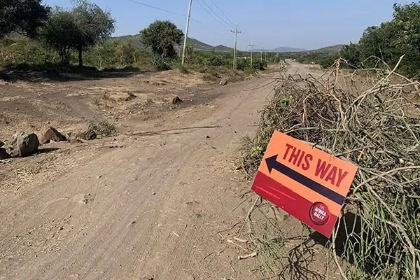 this way crop this way