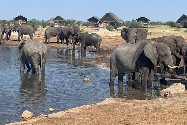 Elephant sands Elephant sands