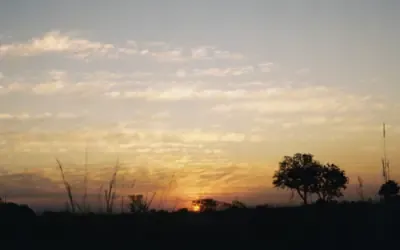 Encounters of the Bush Kind (Botswana)