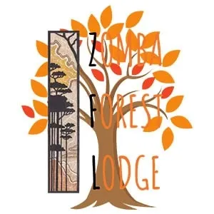 ZFL Logo kande beach logo