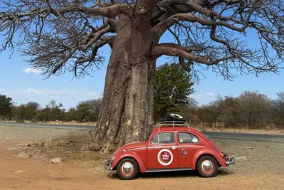 5th beatle wins | The Africa Rally 2025